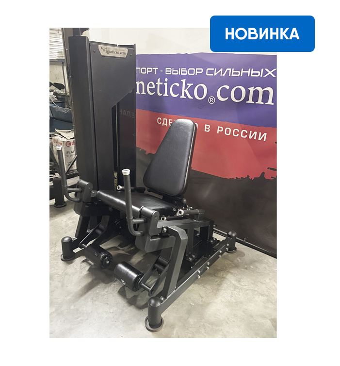 Разгибание ног сидя КИНЕЗ 4.6.1